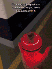 Magic Flying Ball Toy